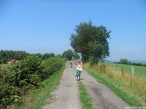 SAM_1902